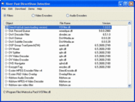 River Past DirectShow Detective screenshot